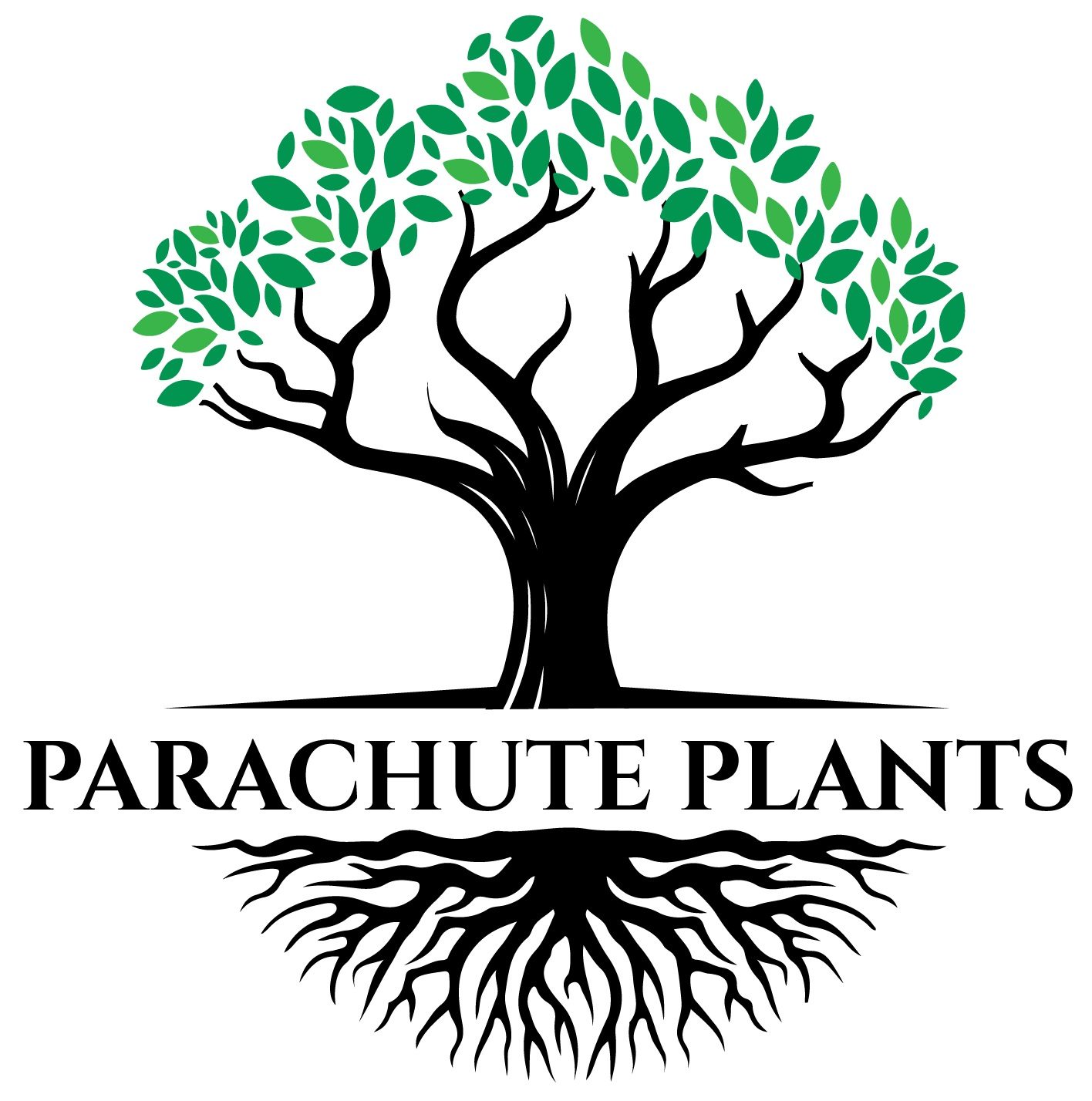 Parachute Plants
